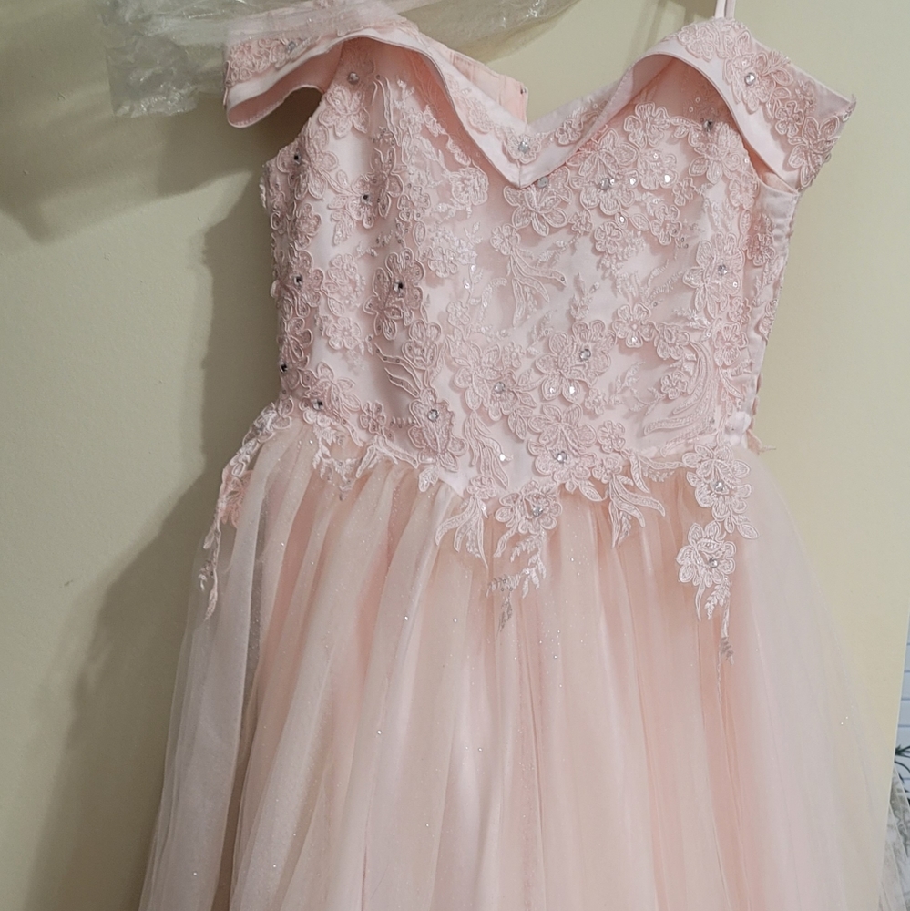 Size 14 Girls Princess Style Dress Pink And Glitter
